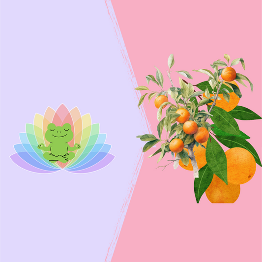 frog in meditation adjacent to an orange vine promoting benefits of vitamin c and meditation on immune system